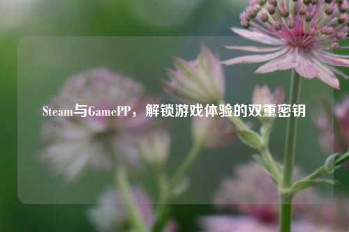 Steam与GamePP,解锁游戏体验的双重密钥