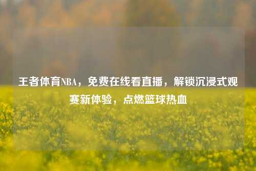 王者体育NBA,免费在线看直播,解锁沉浸式观赛新体验,点燃篮球热血