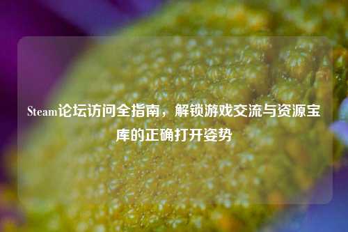 Steam论坛访问全指南,解锁游戏交流与资源宝库的正确打开姿势