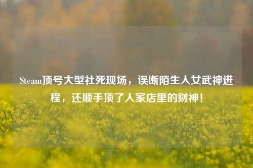 Steam顶号大型社死现场,误断陌生人女武神进程,还顺手顶了人家店里的财神!