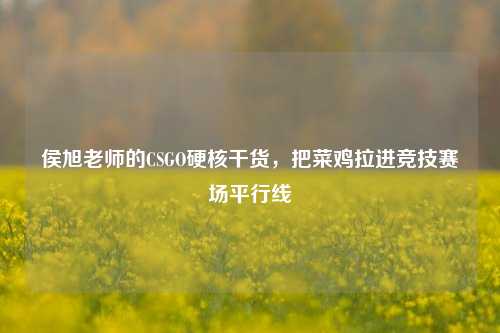 侯旭老师的CSGO硬核干货,把菜鸡拉进竞技赛场平行线