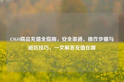 CSGO商品充值全指南，安全渠道、操作步骤与避坑技巧，一文解答充值在哪