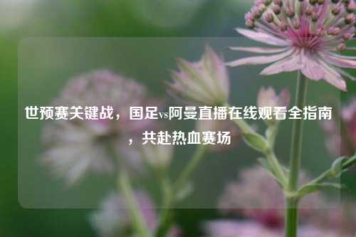 世预赛关键战,国足vs阿曼直播在线观看全指南,共赴热血赛场