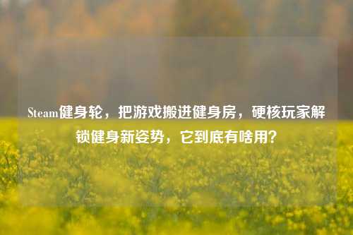 Steam健身轮,把游戏搬进健身房,硬核玩家解锁健身新姿势,它到底有啥用?