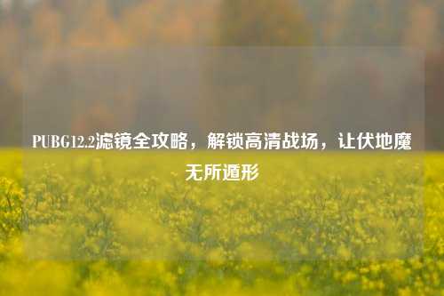 PUBG12.2滤镜全攻略,解锁高清战场,让伏地魔无所遁形