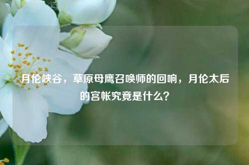月伦峡谷，草原母鹰召唤师的回响，月伦太后的宫帐究竟是什么？