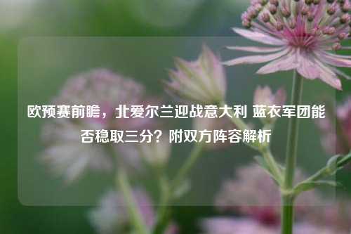 欧预赛前瞻,北爱尔兰迎战意大利 蓝衣军团能否稳取三分?附双方阵容解析