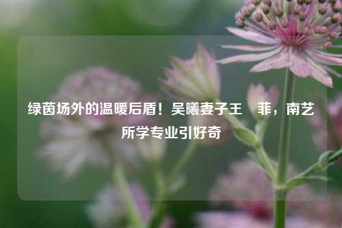 绿茵场外的温暖后盾!吴曦妻子王堉菲,南艺所学专业引好奇