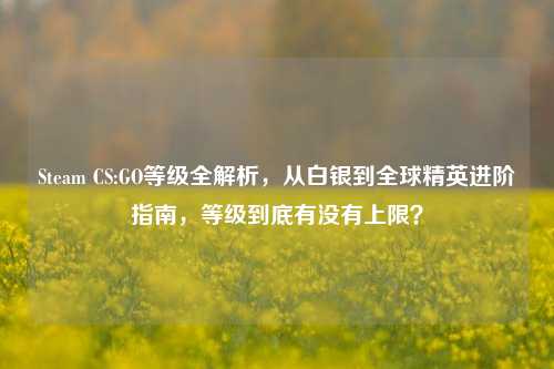 Steam CS:GO等级全解析,从白银到全球精英进阶指南,等级到底有没有上限?