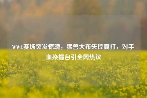 WWE赛场突发惊魂,猛兽大布失控真打,对手血染擂台引全网热议