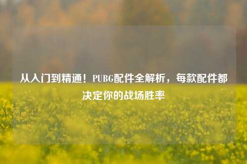 从入门到精通!PUBG配件全解析,每款配件都决定你的战场胜率