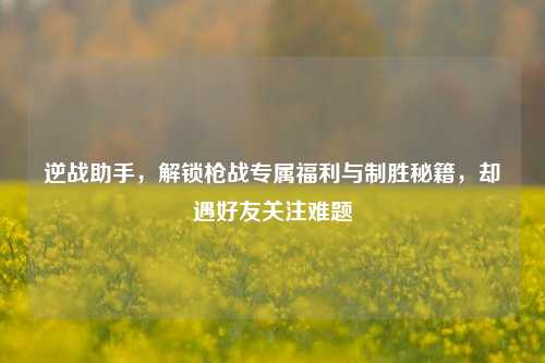 逆战助手,解锁枪战专属福利与制胜秘籍,却遇好友关注难题