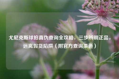 尤尼克斯球拍真伪查询全攻略,三步辨明正品,远离假货陷阱(附官方查询渠道)