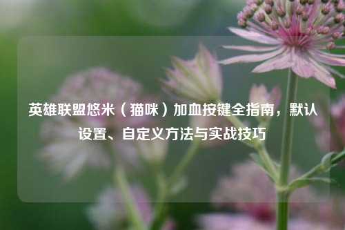 英雄联盟悠米(猫咪)加血按键全指南,默认设置、自定义方法与实战技巧