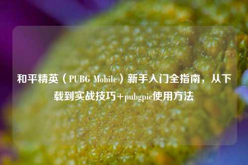 和平精英(PUBG Mobile)新手入门全指南,从下载到实战技巧+pubgpic使用方法