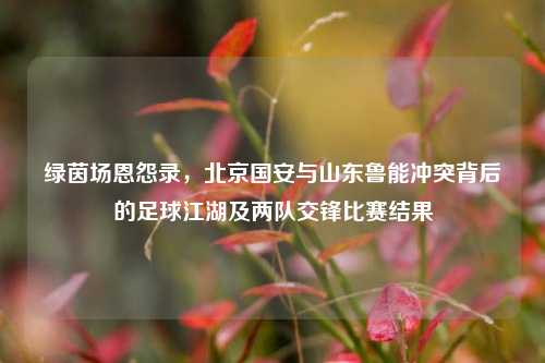 绿茵场恩怨录,北京国安与山东鲁能冲突背后的足球江湖及两队交锋比赛结果