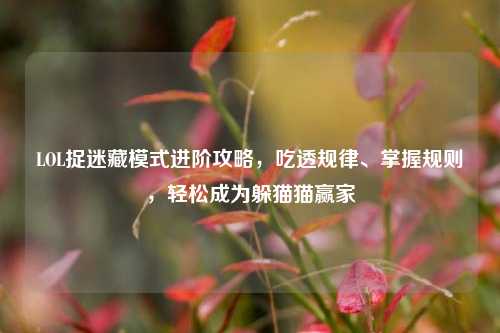 LOL捉迷藏模式进阶攻略,吃透规律、掌握规则,轻松成为躲猫猫赢家