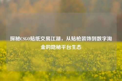 探秘CSGO贴纸交易江湖，从贴枪装饰到数字淘金的隐秘平台生态