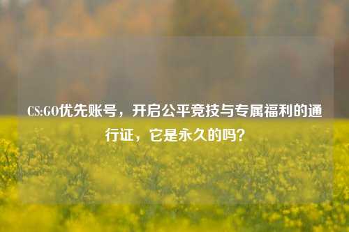 CS:GO优先账号,开启公平竞技与专属福利的通行证,它是永久的吗?