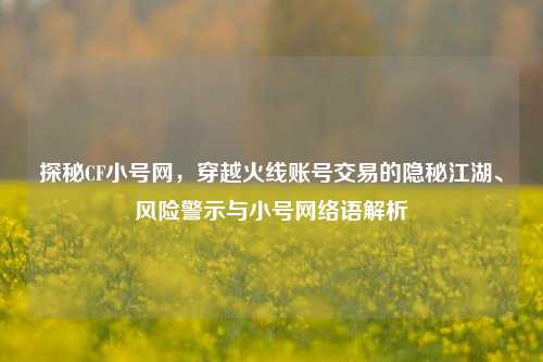 探秘CF小号网,穿越火线账号交易的隐秘江湖、风险警示与小号网络语解析