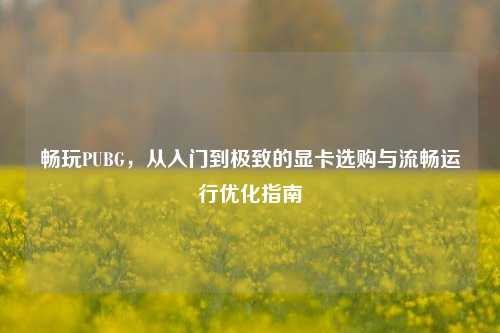 畅玩PUBG,从入门到极致的显卡选购与流畅运行优化指南