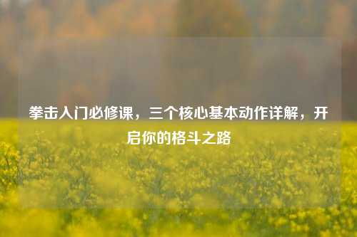 拳击入门必修课,三个核心基本动作详解,开启你的格斗之路
