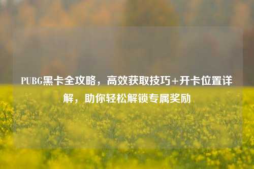 PUBG黑卡全攻略,高效获取技巧+开卡位置详解,助你轻松解锁专属奖励