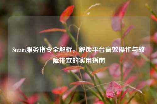 Steam服务指令全解析,解锁平台高效操作与故障排查的实用指南