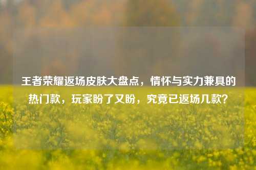 王者荣耀返场皮肤大盘点,情怀与实力兼具的热门款,玩家盼了又盼,究竟已返场几款?