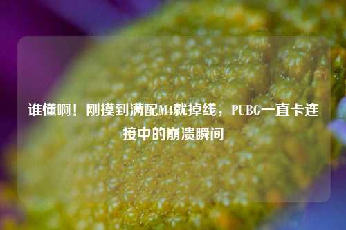 谁懂啊!刚摸到满配M4就掉线,PUBG一直卡连接中的崩溃瞬间