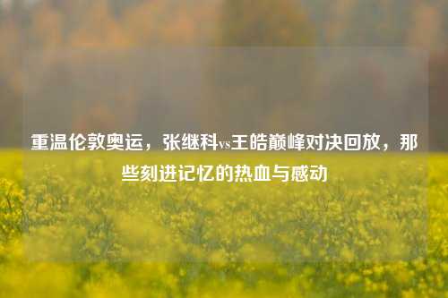 重温伦敦奥运，张继科vs王皓巅峰对决回放，那些刻进记忆的热血与感动