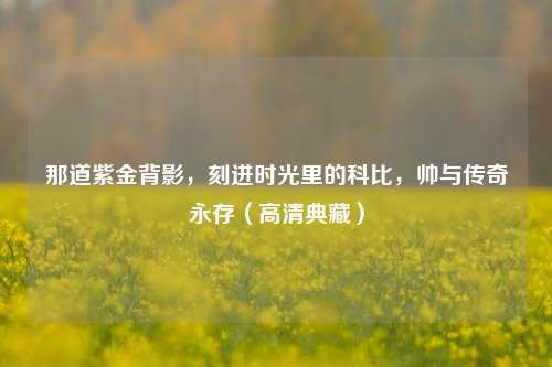 那道紫金背影,刻进时光里的科比,帅与传奇永存(高清典藏)
