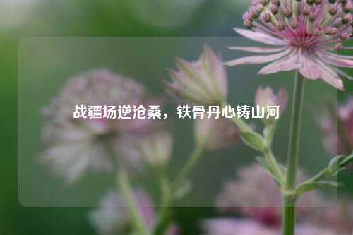 战疆场逆沧桑,铁骨丹心铸山河