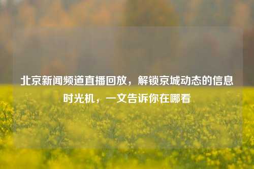 北京新闻频道直播回放,解锁京城动态的信息时光机,一文告诉你在哪看