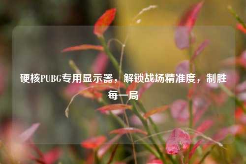 硬核PUBG专用显示器,解锁战场精准度,制胜每一局
