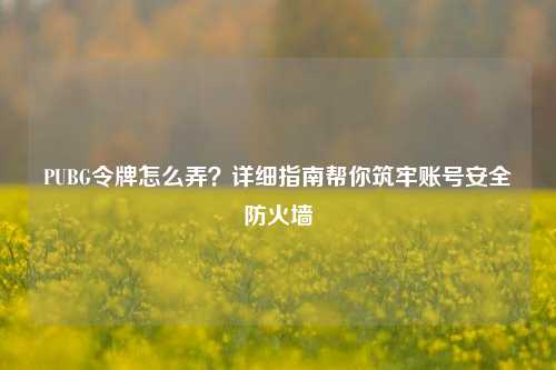 PUBG令牌怎么弄?详细指南帮你筑牢账号安全防火墙