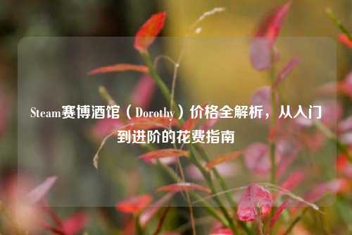 Steam赛博酒馆(Dorothy)价格全解析,从入门到进阶的花费指南