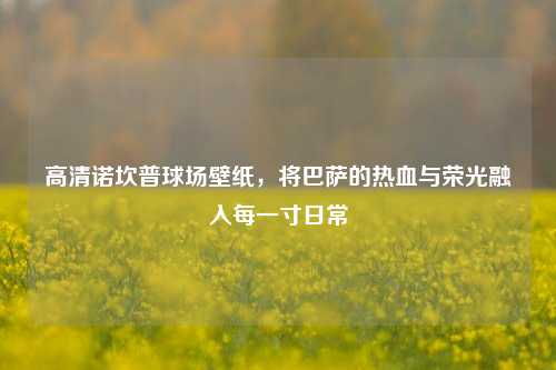 高清诺坎普球场壁纸,将巴萨的热血与荣光融入每一寸日常