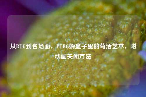 从BUG到名场面,PUBG躲盒子里的苟活艺术,附动画关闭方法