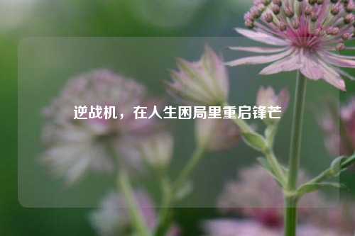 逆战机,在人生困局里重启锋芒