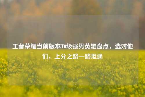 王者荣耀当前版本T0级强势英雄盘点,选对他们,上分之路一路坦途