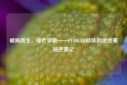 破局而生,锋芒毕露——PUBG ER战队的绝地赛场逆袭记