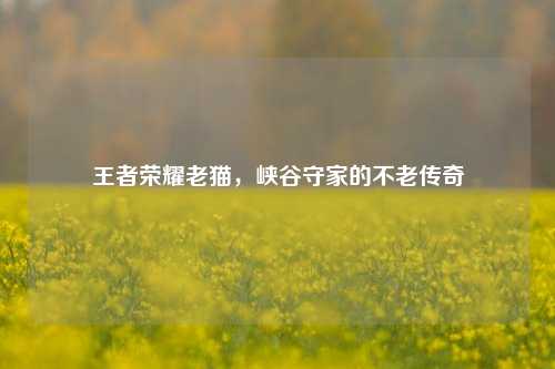 王者荣耀老猫,峡谷守家的不老传奇