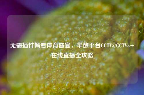 无需插件畅看体育盛宴,华数平台CCTV5/CCTV5+在线直播全攻略