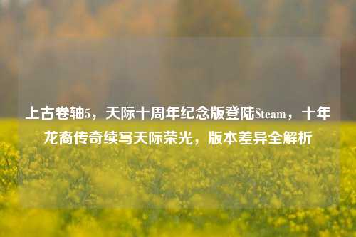 上古卷轴5,天际十周年纪念版登陆Steam,十年龙裔传奇续写天际荣光,版本差异全解析
