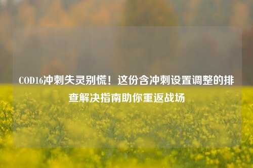 COD16冲刺失灵别慌!这份含冲刺设置调整的排查解决指南助你重返战场