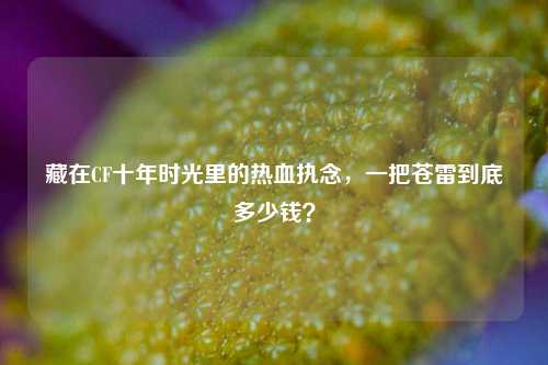 藏在CF十年时光里的热血执念,一把苍雷到底多少钱?