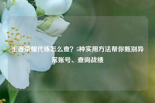 王者荣耀代练怎么查？5种实用方法帮你甄别异常账号、查询战绩