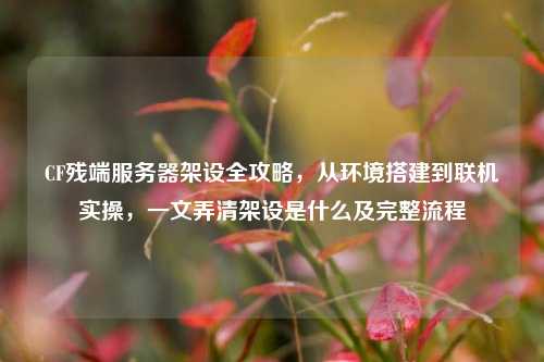 CF残端服务器架设全攻略，从环境搭建到联机实操，一文弄清架设是什么及完整流程