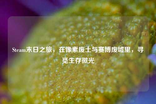 Steam末日之旅,在像素废土与赛博废墟里,寻觅生存微光